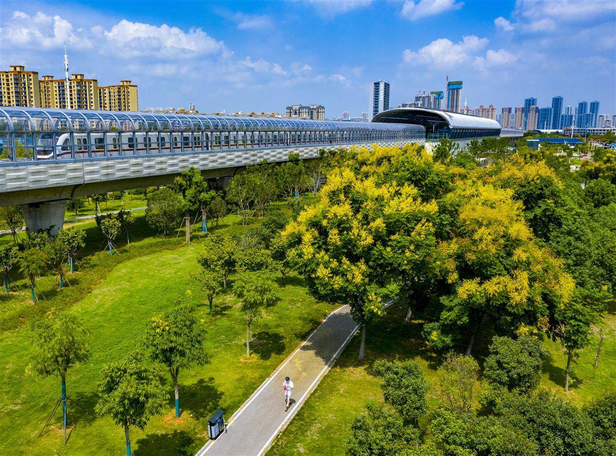 永利十大下载